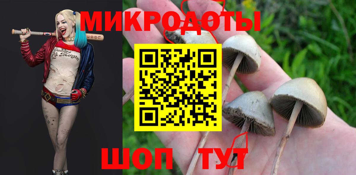 Сыктывкар  Галлюциногенные грибы Magic Shrooms  хочу   Вход с VPN 