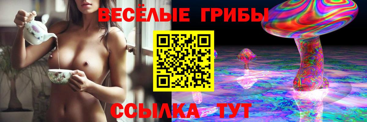 Галлюциногенные грибы Cubensis Сыктывкар